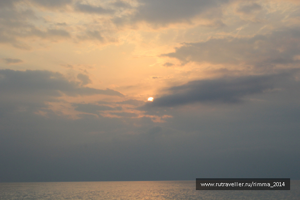 photo 1333320