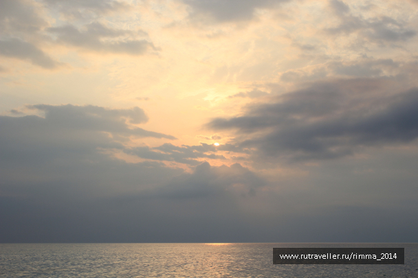 photo 1333321