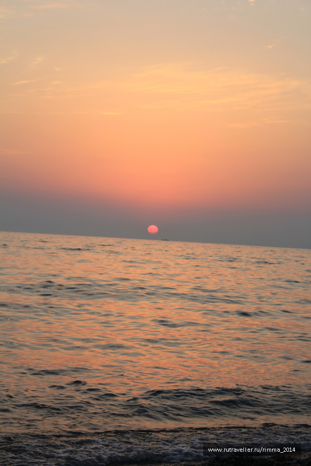 photo 1333323