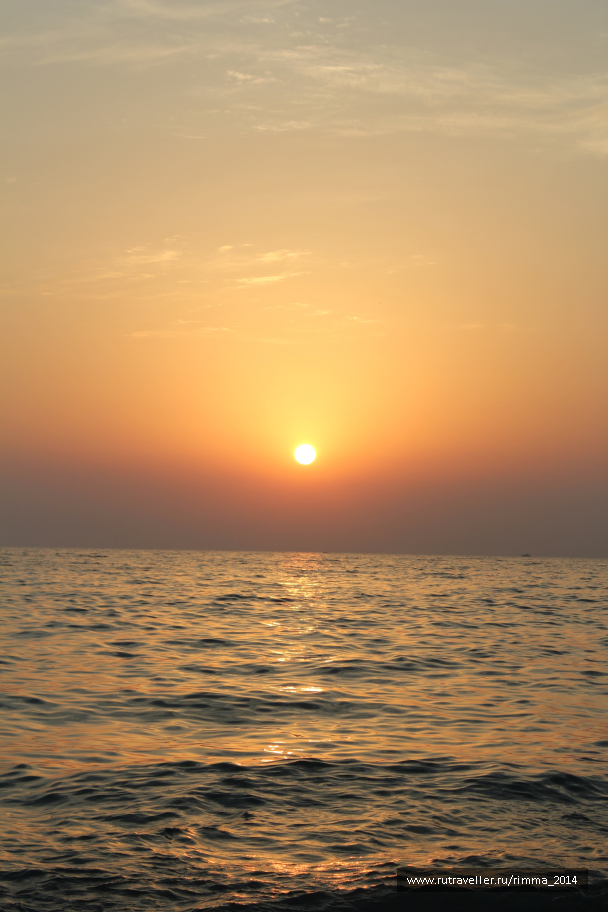photo 1333330