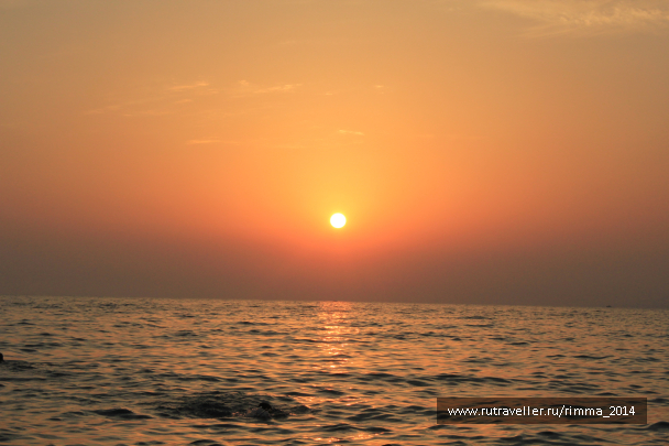 photo 1333331