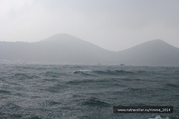 photo 1301002