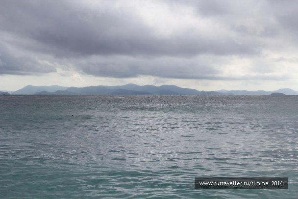 photo 1333353