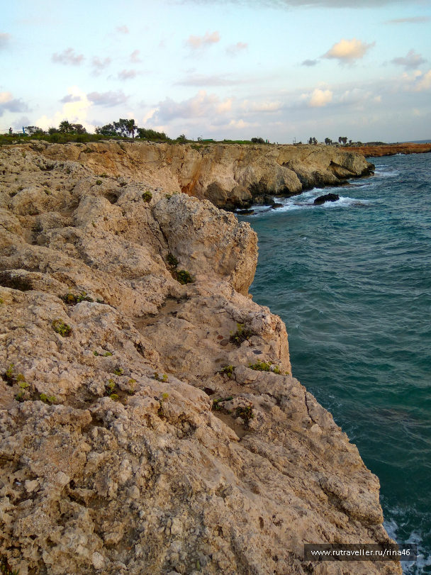 photo 1406710