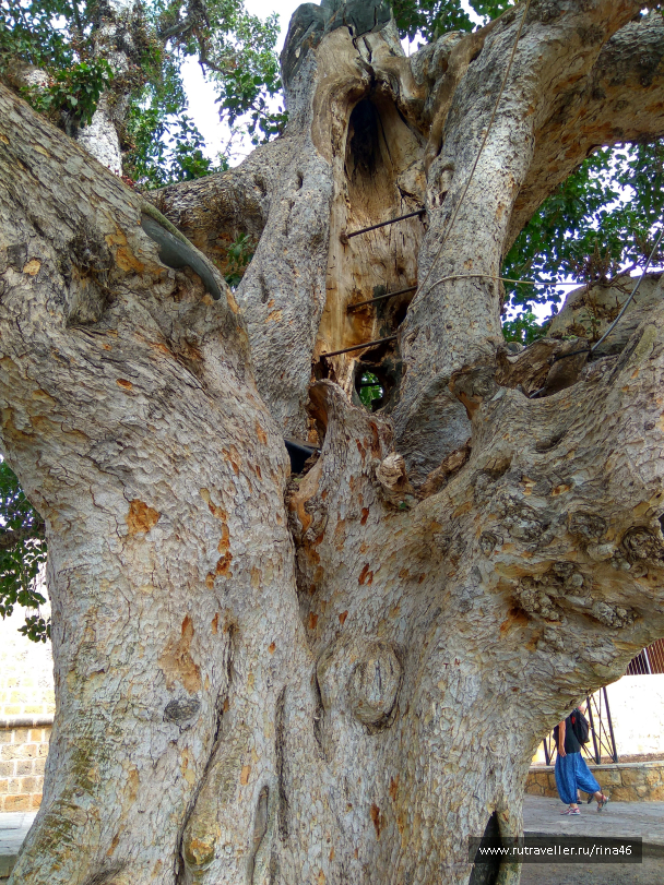 photo 1406744