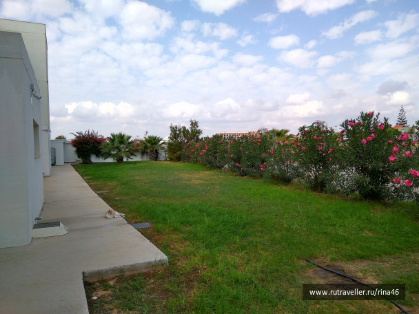 photo 1406759