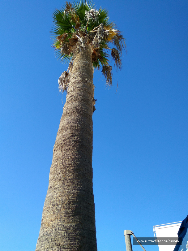 photo 1406773