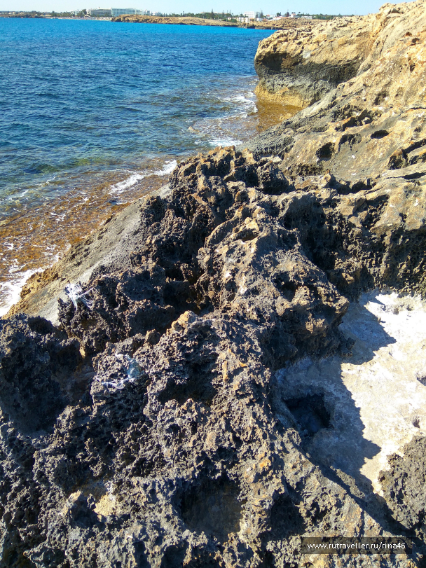 photo 1406774