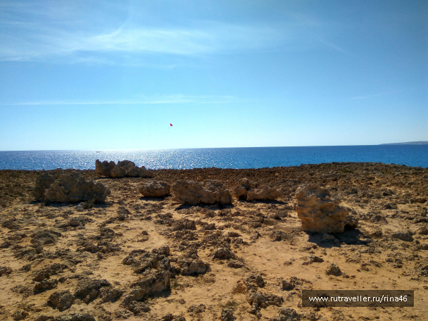 photo 1406784