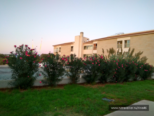 photo 1406797