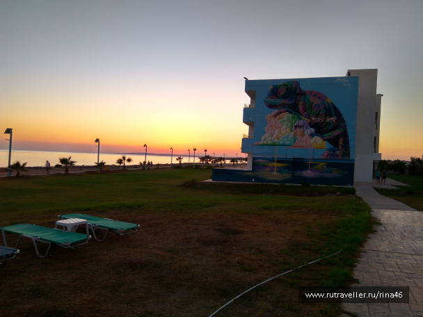 photo 1406798
