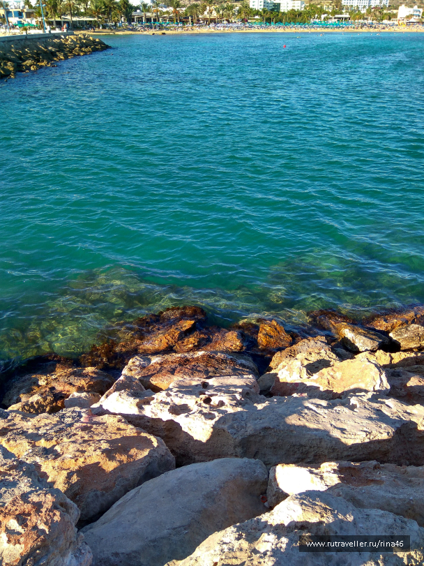 photo 1406814
