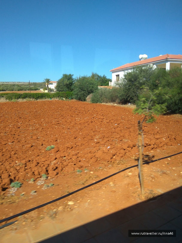 photo 1406840