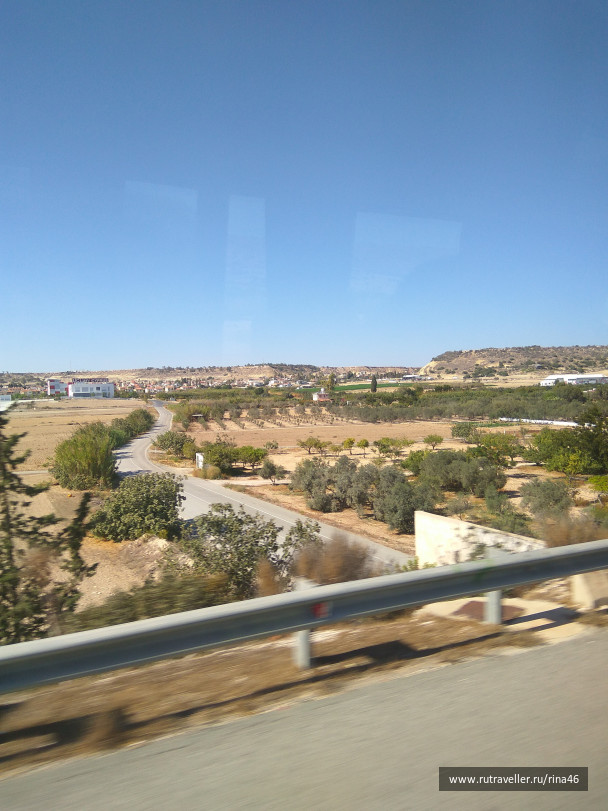 photo 1406842