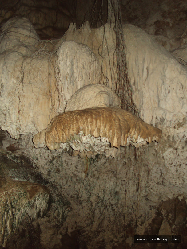 photo 258397