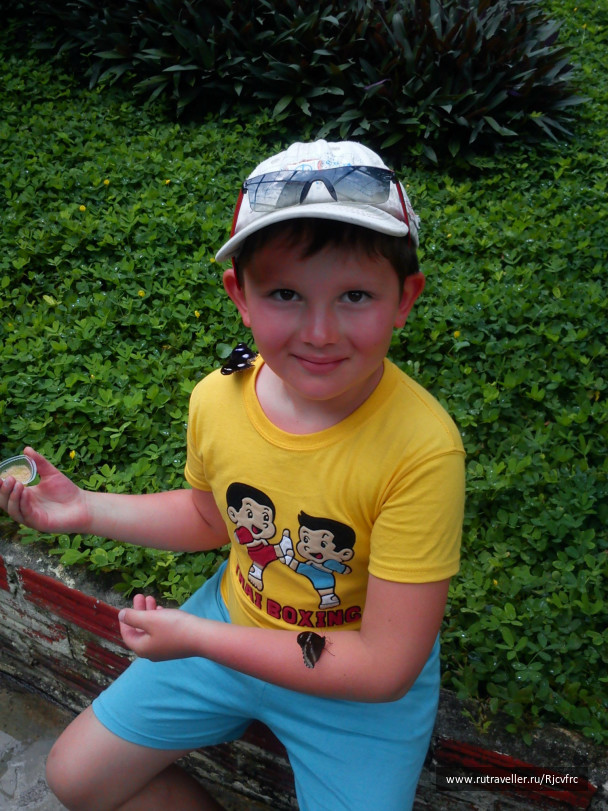 photo 258444