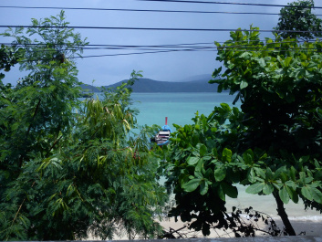 photo 258445
