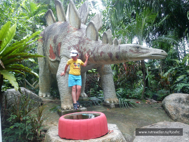 photo 258447