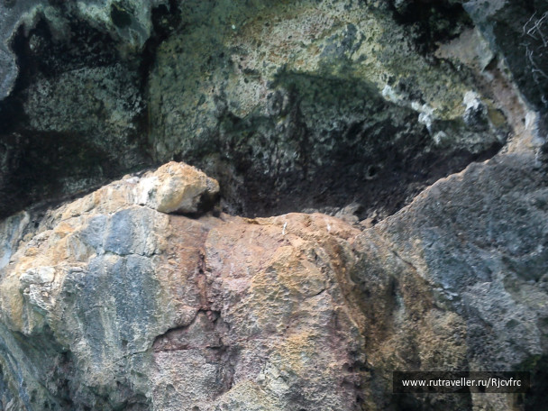 photo 258452
