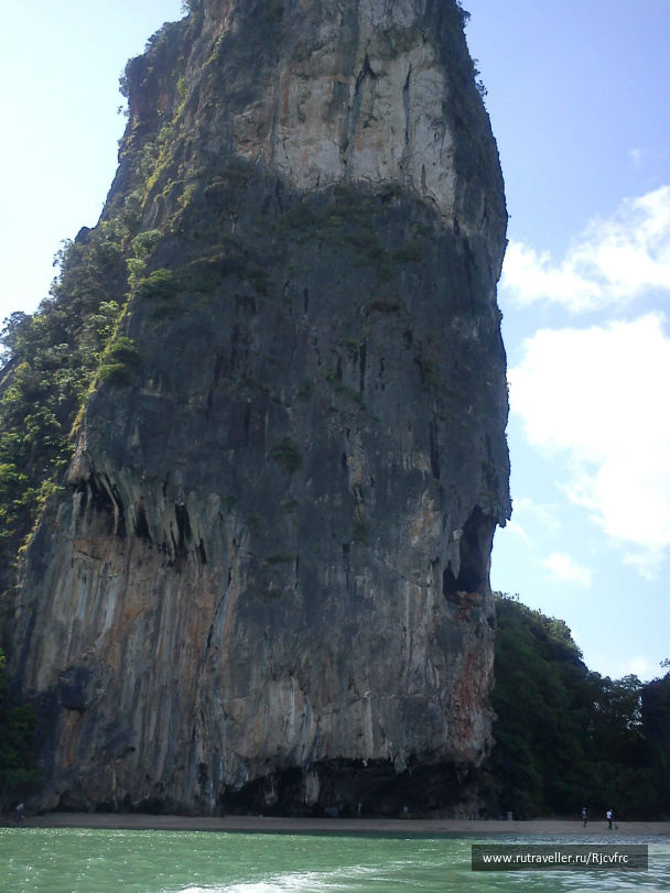 photo 258454