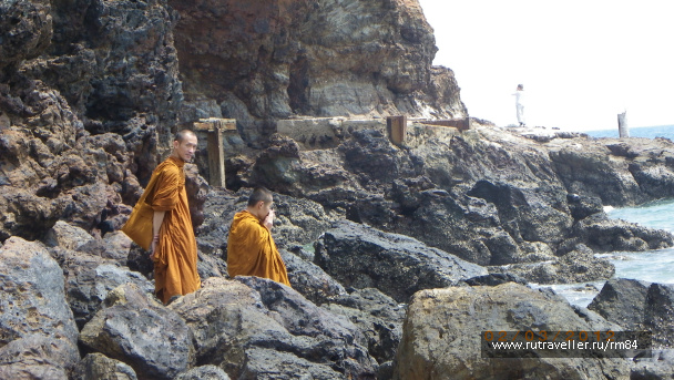 photo 242602