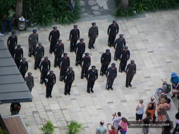 photo 242612