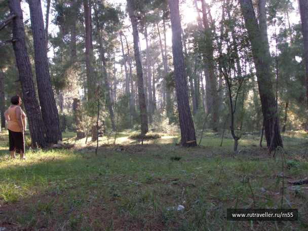 photo 475738