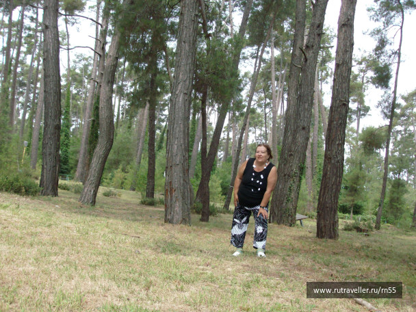 photo 475780