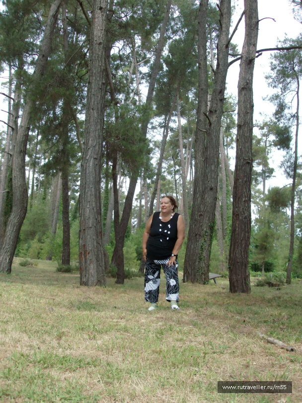 photo 475782
