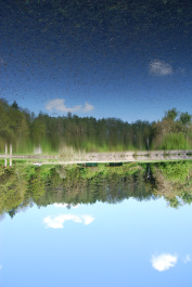 photo 237439