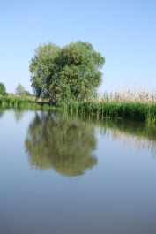 photo 238288