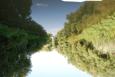 photo 238304