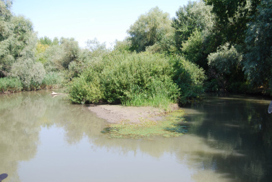 photo 238308