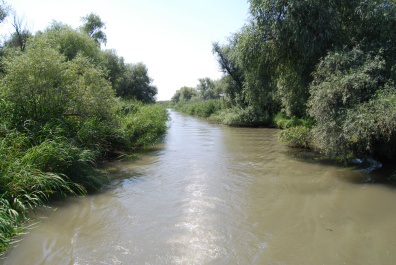 photo 238309