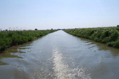 photo 238310