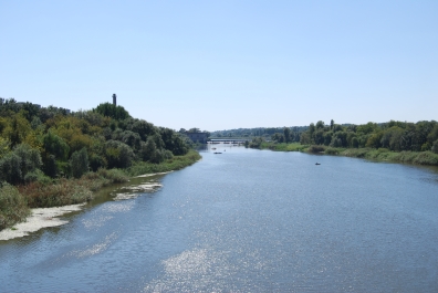 photo 264954