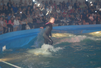 photo 267673