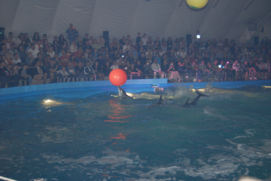 photo 267674