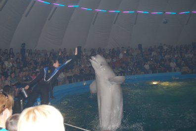 photo 267677