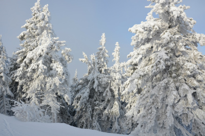 photo 237487