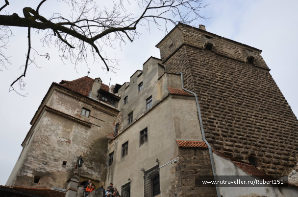 photo 237491