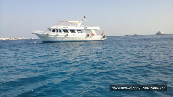 photo 1433158