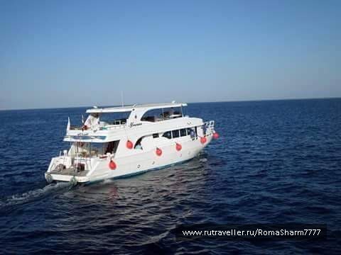 photo 1433173