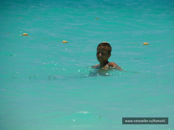 photo 1773415