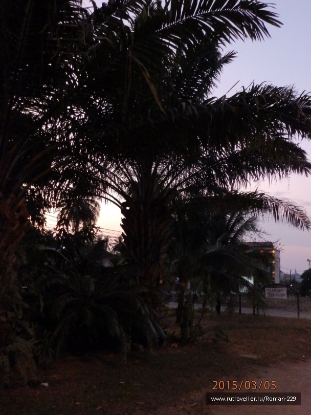photo 1149598