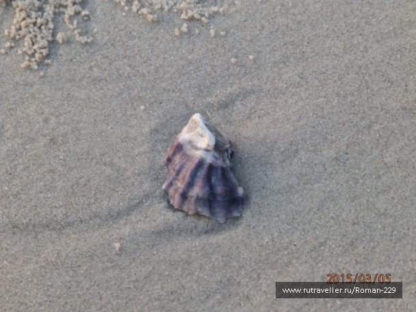 photo 1149631