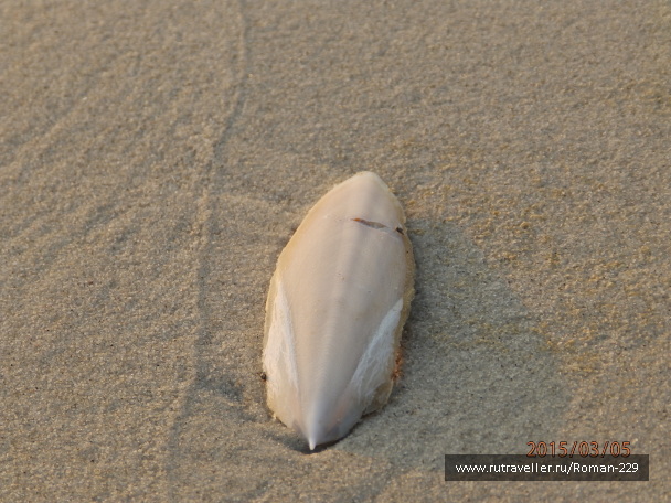 photo 1149689