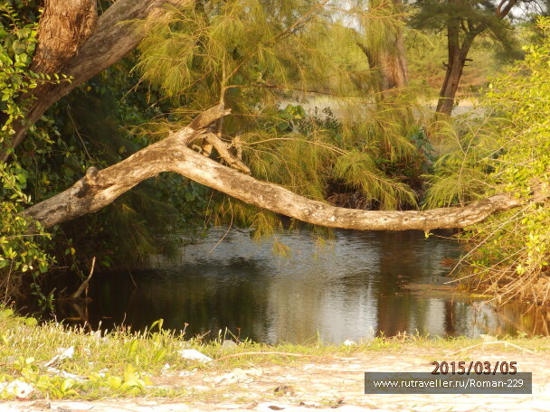 photo 1149733