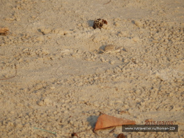 photo 1149736