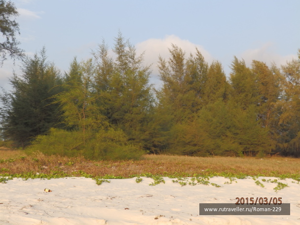 photo 1149747